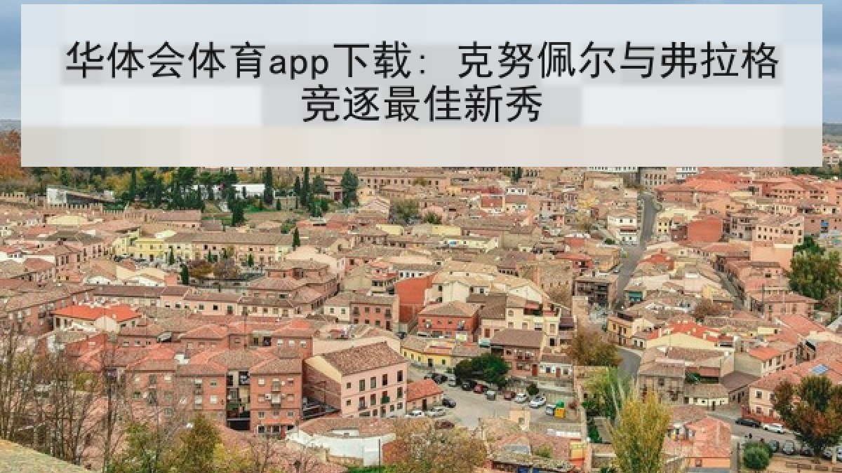 华体会体育app下载: 克努佩尔与弗拉格竞逐最佳新秀