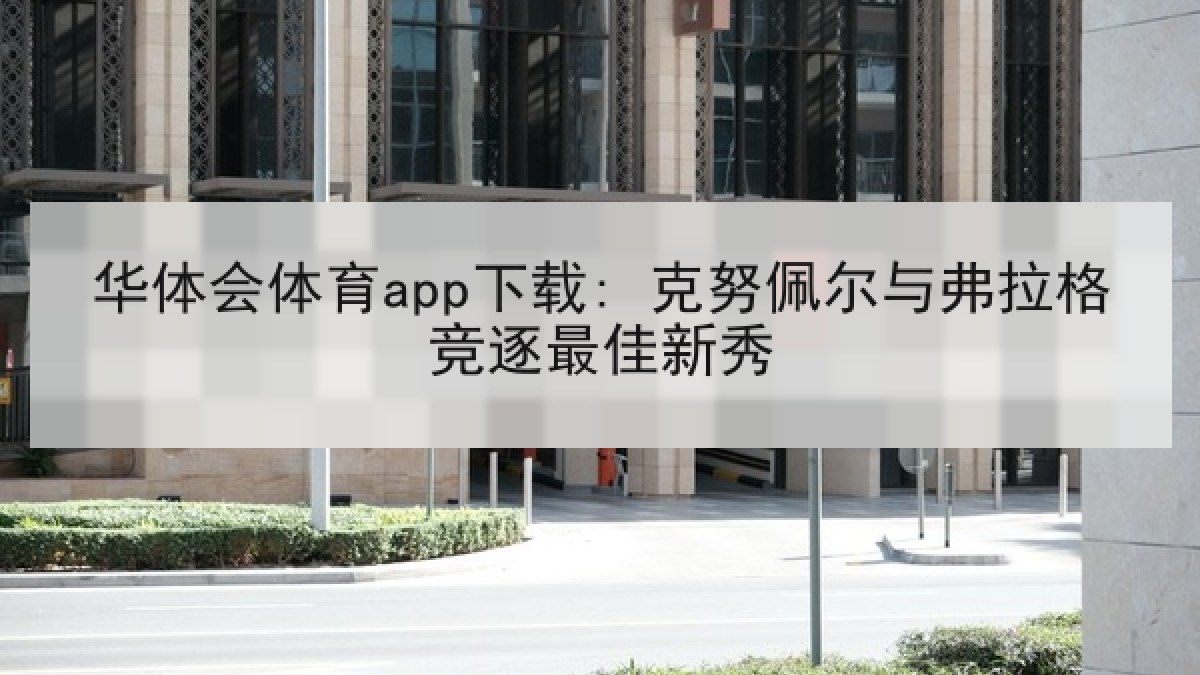 华体会体育app下载: 克努佩尔与弗拉格竞逐最佳新秀