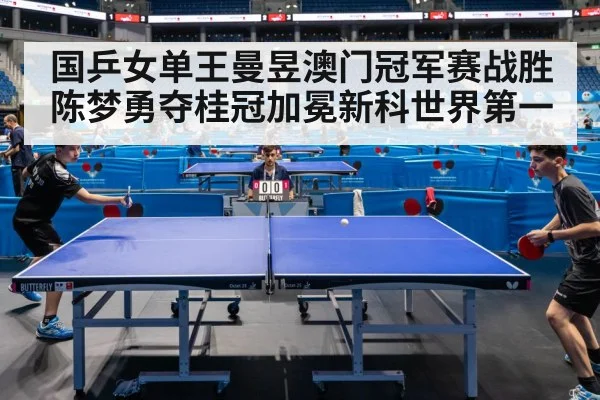 table tennis competition