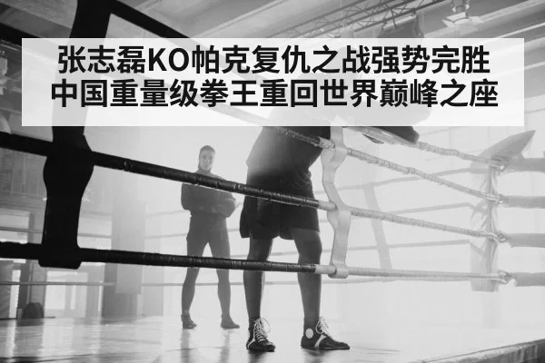 张志磊KO帕克复仇之战强势完胜 中国重量级拳王重回世界巅峰之座