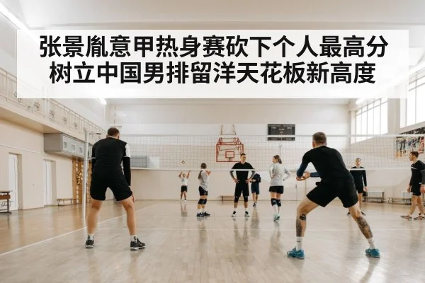 volleyball training court
